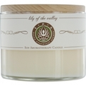 LILY OF THE VALLEY