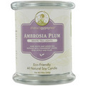 ZHENA'S GYPSY TEA Aromatherapy z 
