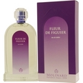 LES FLEURS FLEUR DE FIGUIER Perfume által Molinard