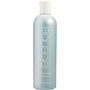 AQUAGE Haircare by Aquage #199361