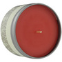 SUMMER CITRUS Candles pagal Summer Citrus #221340