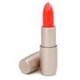 Lancaster Makeup pagal Lancaster #221760