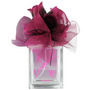 VERA WANG LOVESTRUCK Perfume esitt&auml;j&auml;(t): Vera Wang #224880